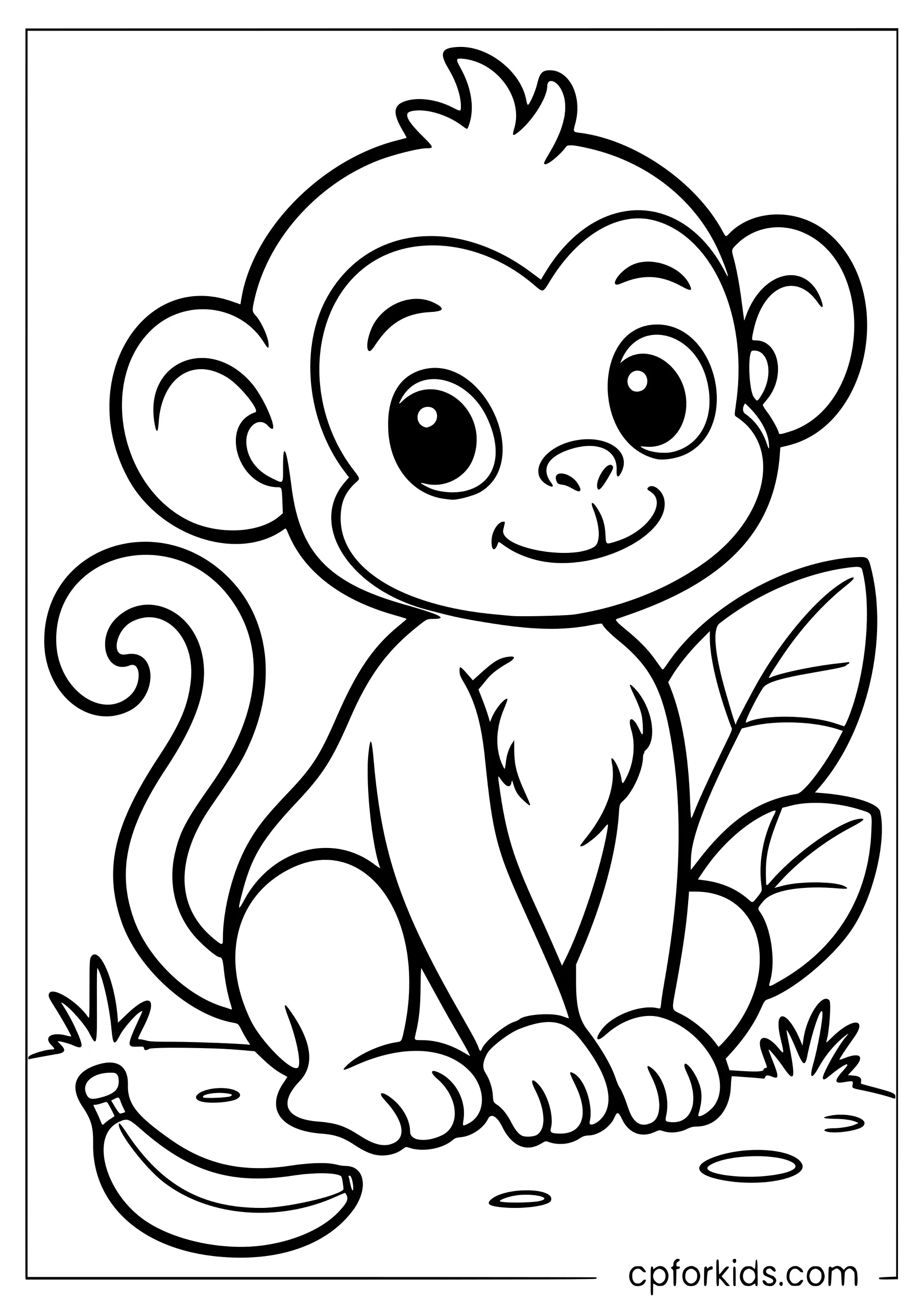 Cute baby monkey sitting with big round eyes