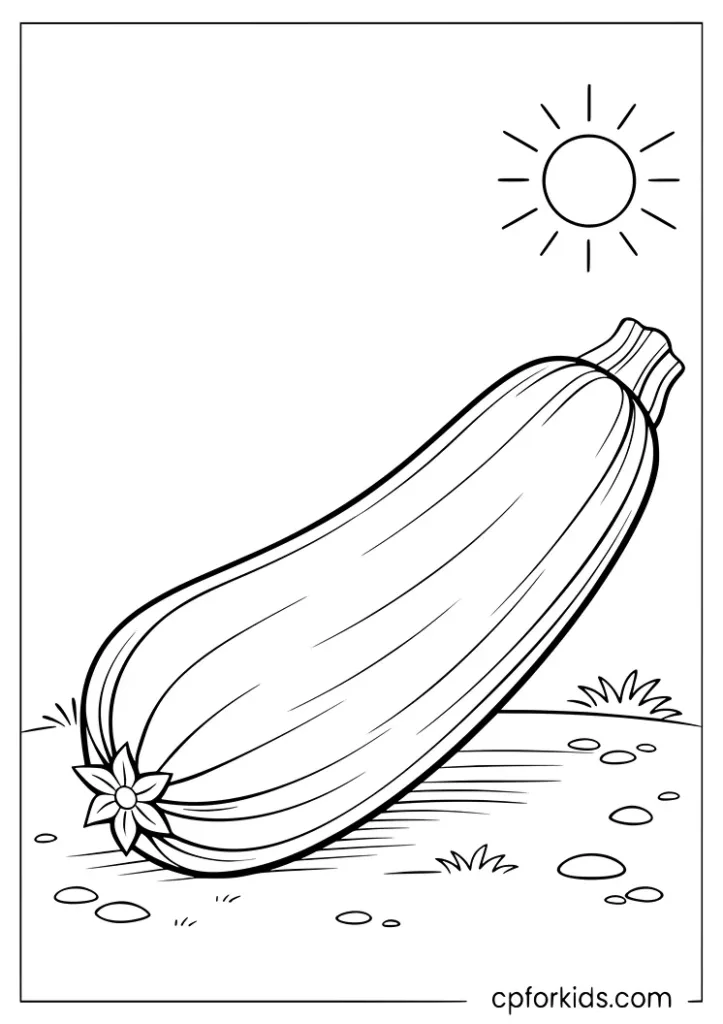 Detailed zucchini under the sun vegetable coloring page for kids