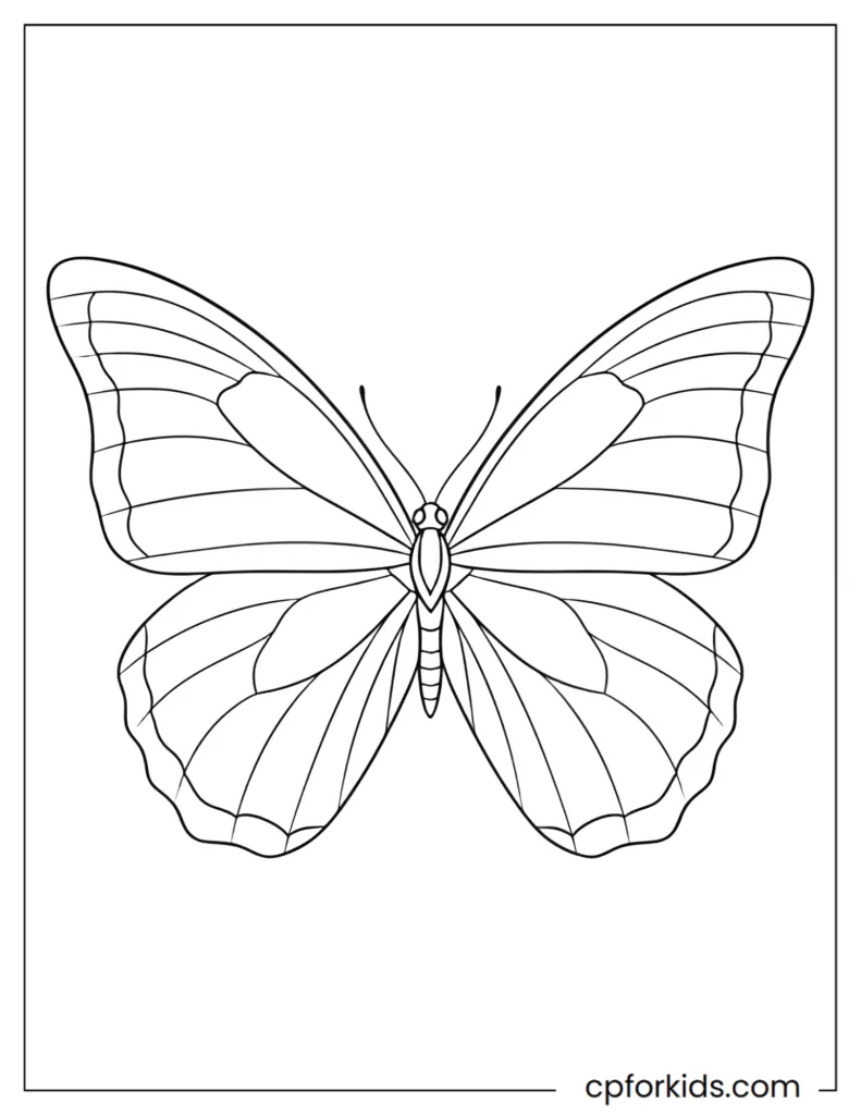 Easy Line Art Coloring Pages Easy line art coloring page featuring a large butterfly with symmetrical wing patterns and simple outlines.