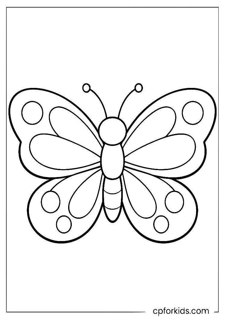Butterfly with circular spots inside its open wings