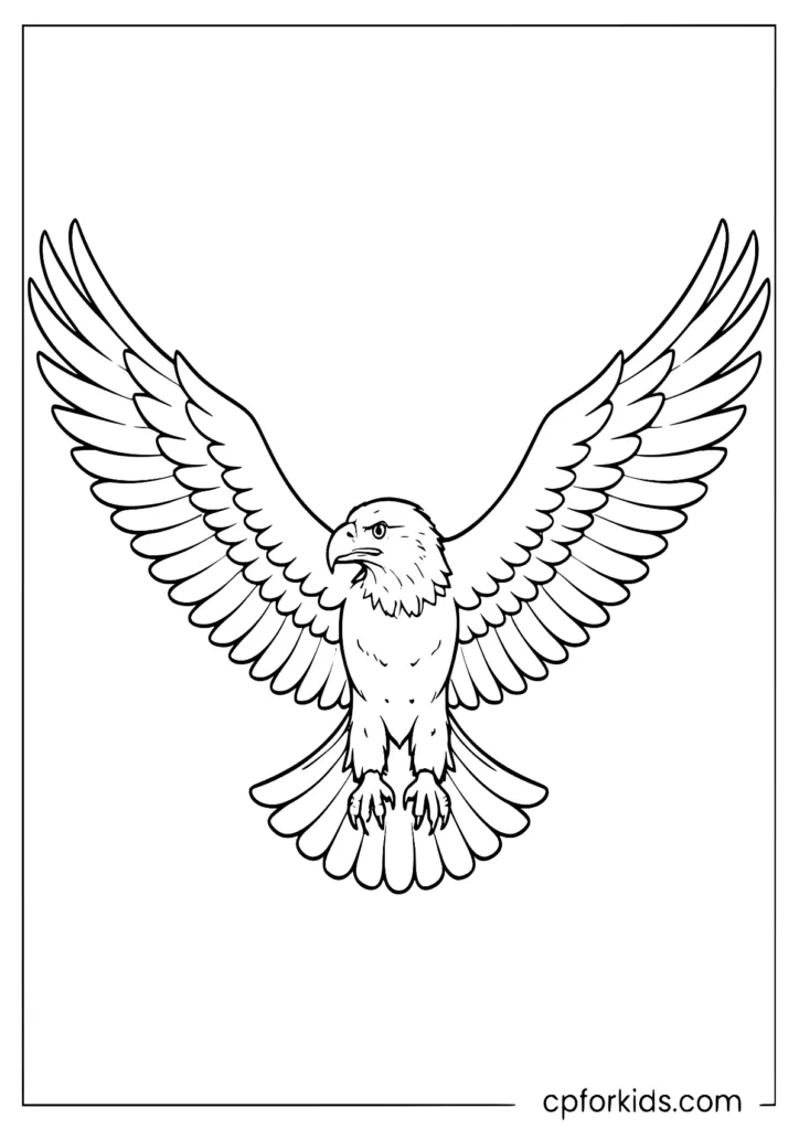 Easy flying eagle with wide wings coloring page for toddlers