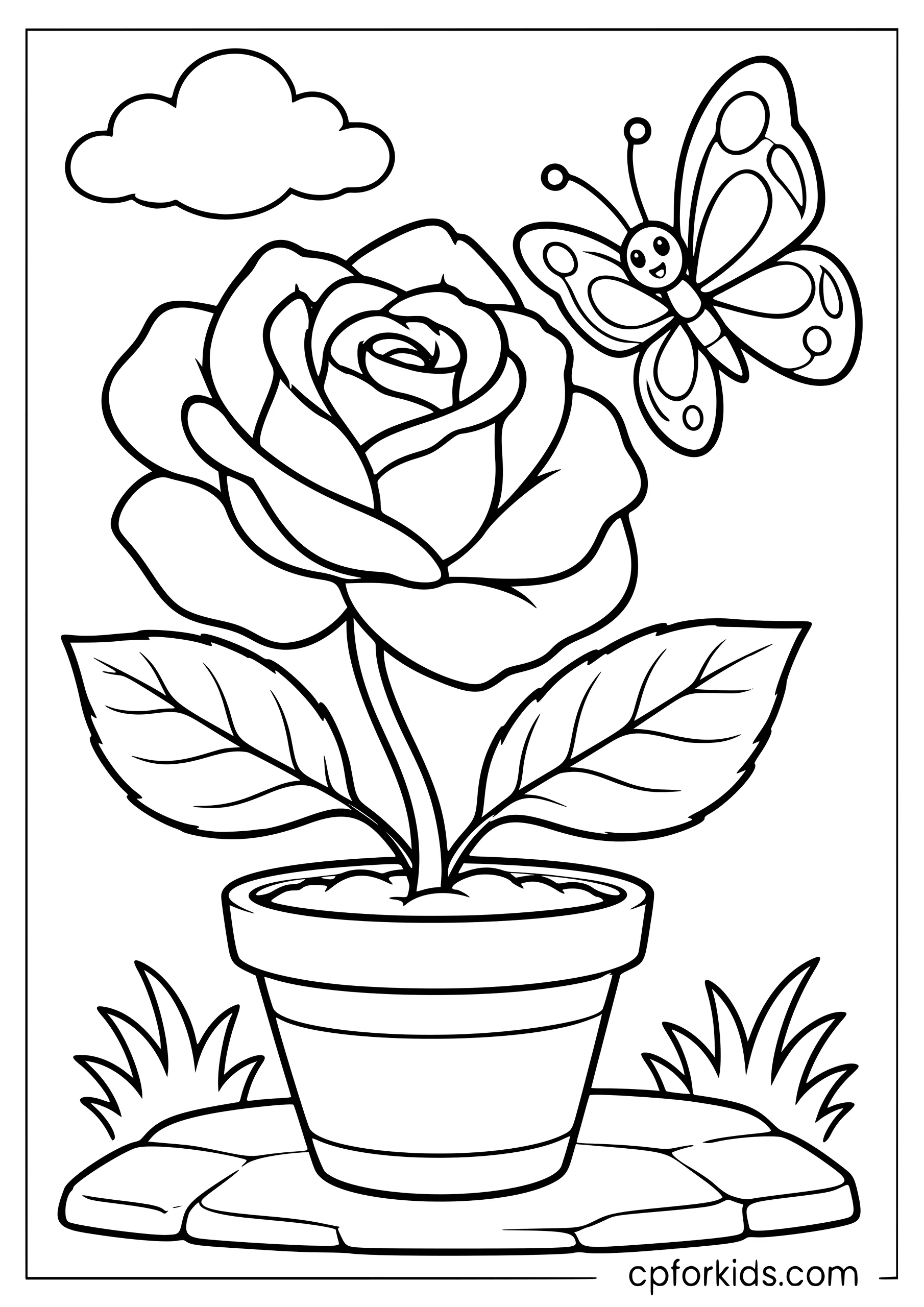 Large rose growing in a pot beside a butterfly