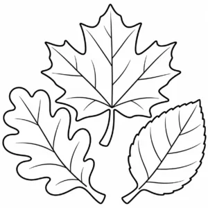 Three broad autumn leaves with simple enclosed veins