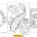 Printable Fish coloring pages feature image