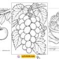 fruit coloring pages featured image