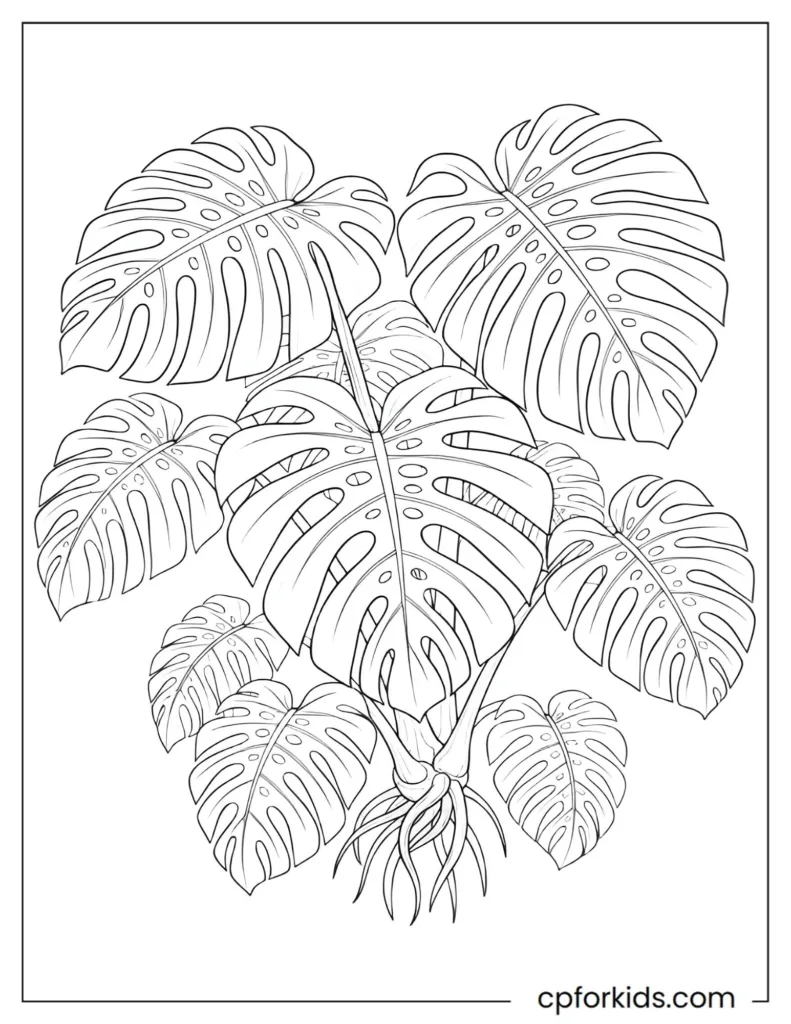 Garden and botany coloring page featuring vegetables, herbs, and flowers in a clean educational layout.
