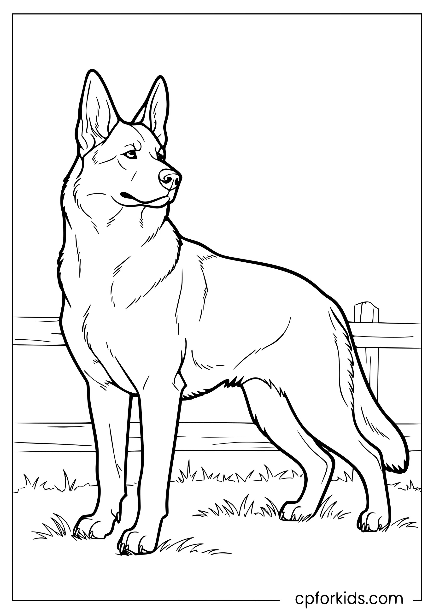German shepherd standing alert on a grassy path