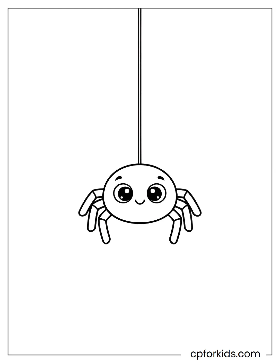 Spider dangling from a web strand