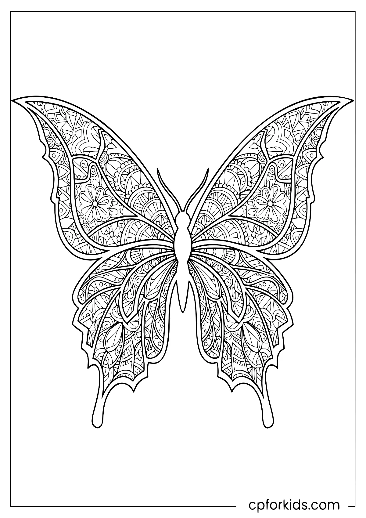 Butterfly with detailed symmetrical patterns across four wings