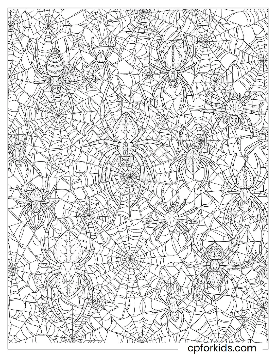 Interwoven spiderwebs with small spiders