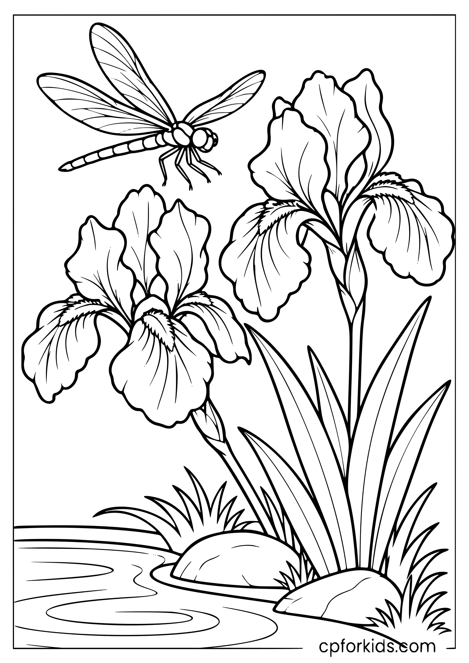 Dragonfly hovering above two irises beside a pond