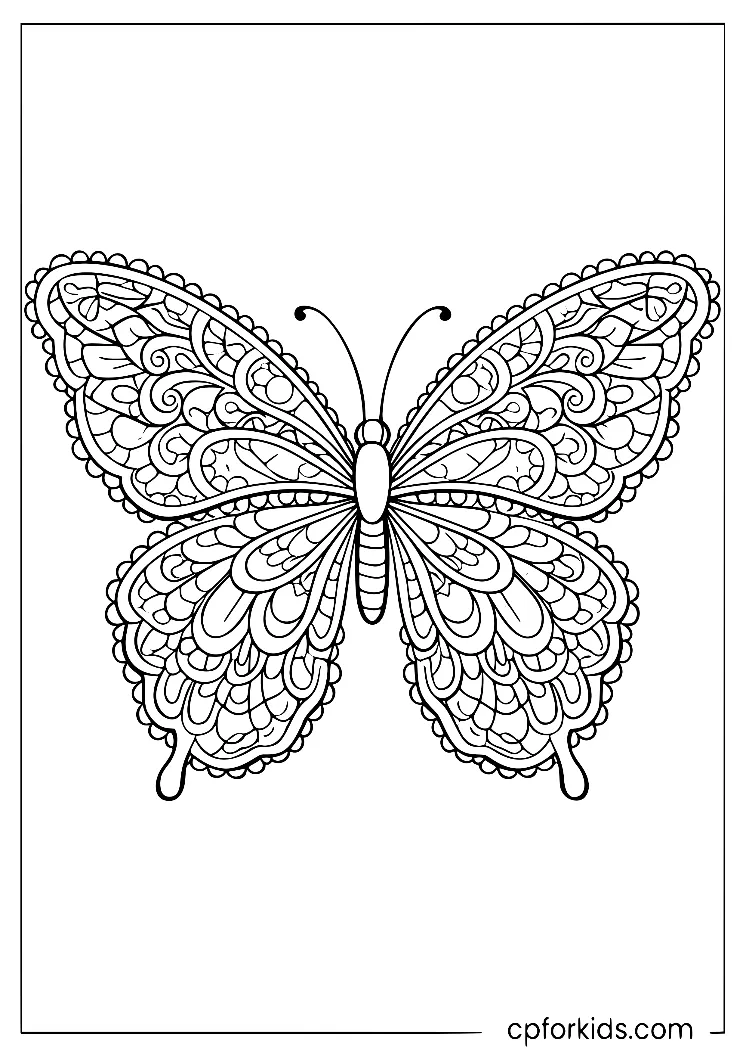 Butterfly wings filled with loops, petals and scalloped patterns