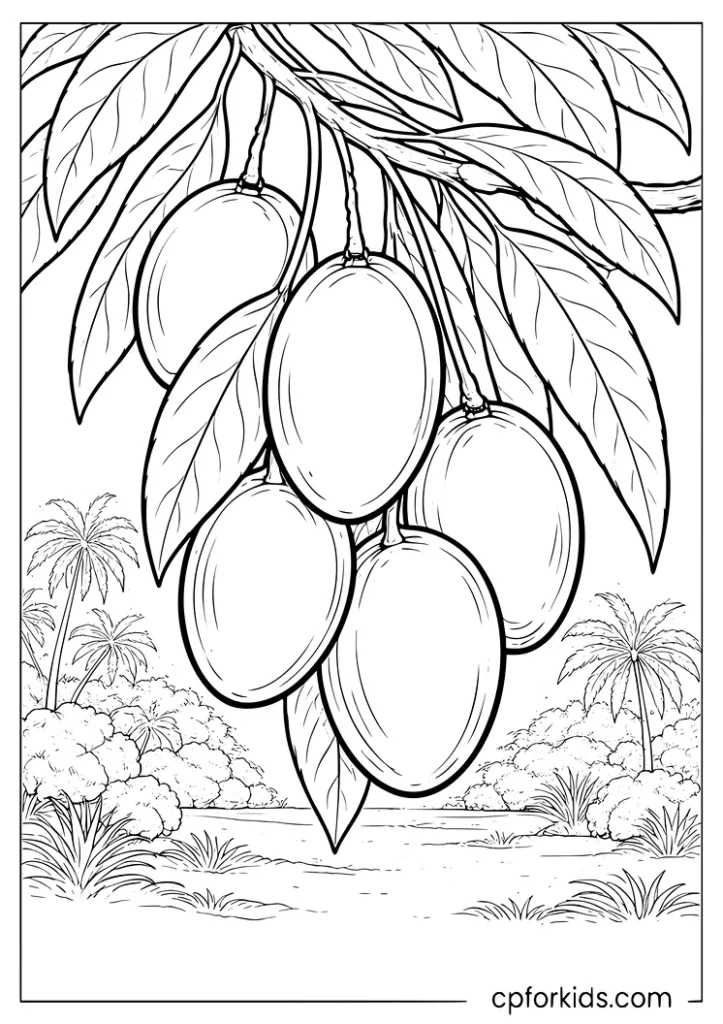 Mangoes hanging from a tree branch coloring page