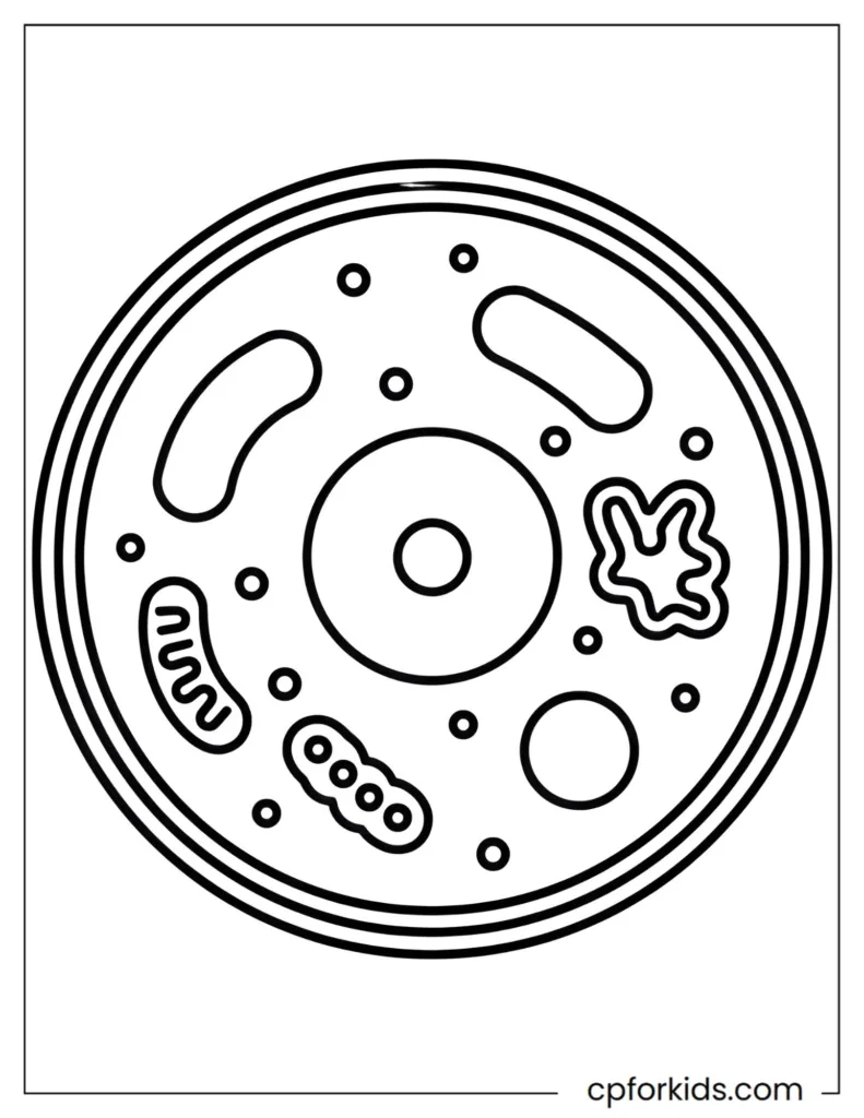 Microscopic world coloring page showing a simplified animal cell with clear scientific structure.