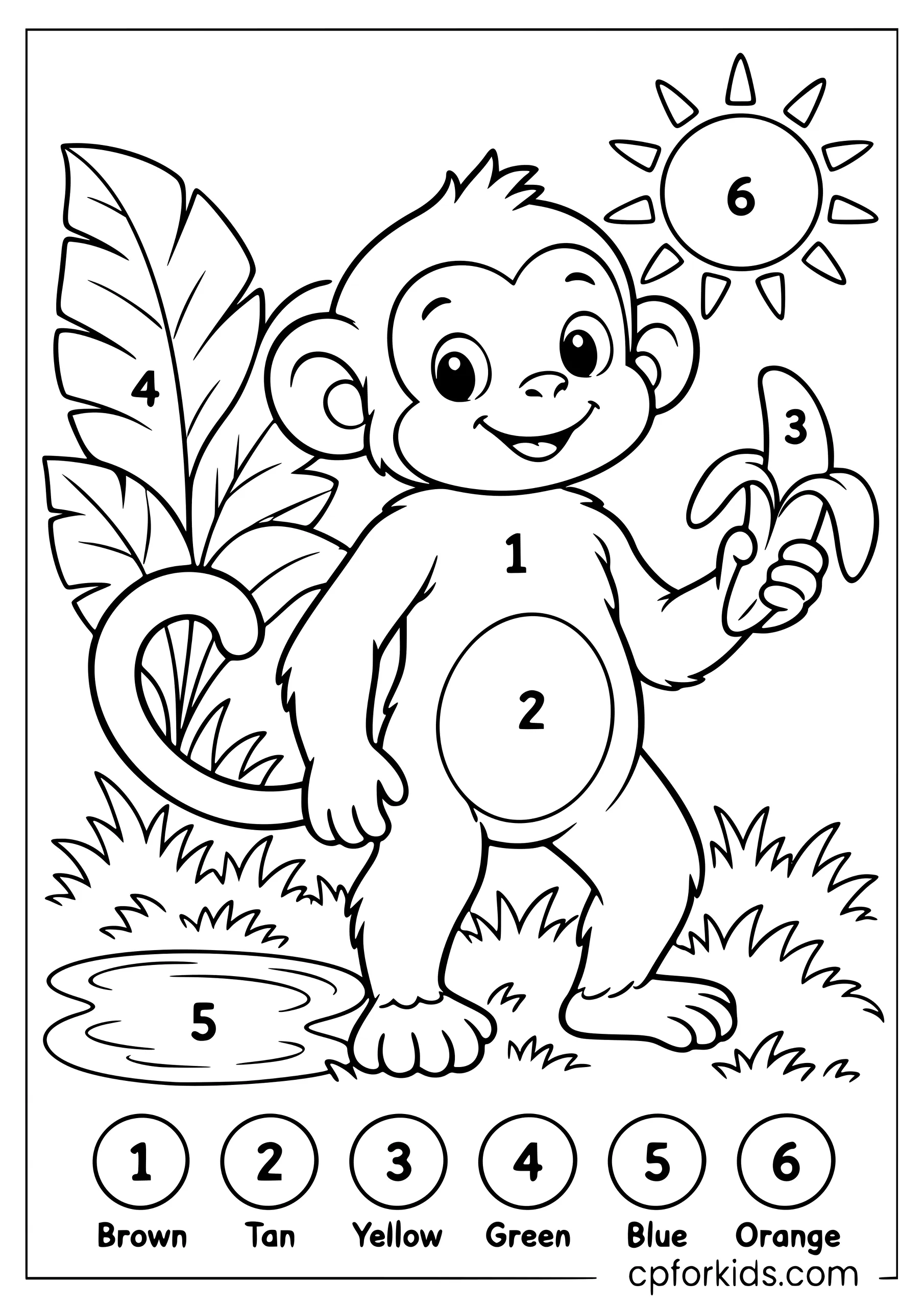Standing monkey with numbered sections and color key