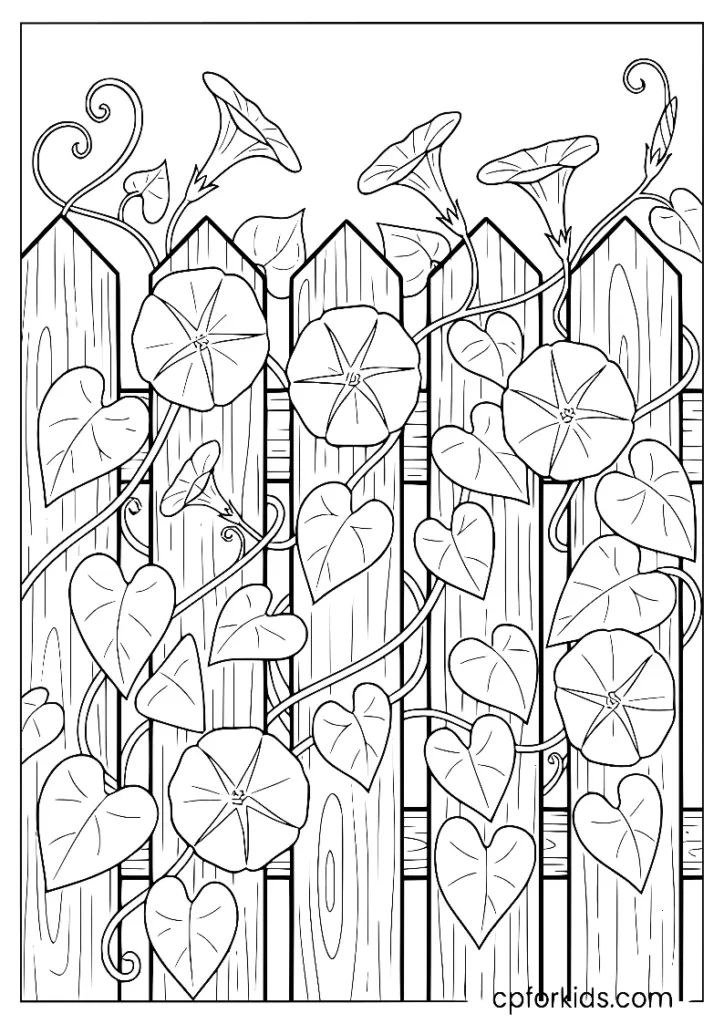 Morning Glory flowers climbing a garden fence, a classic September floral coloring sheet.