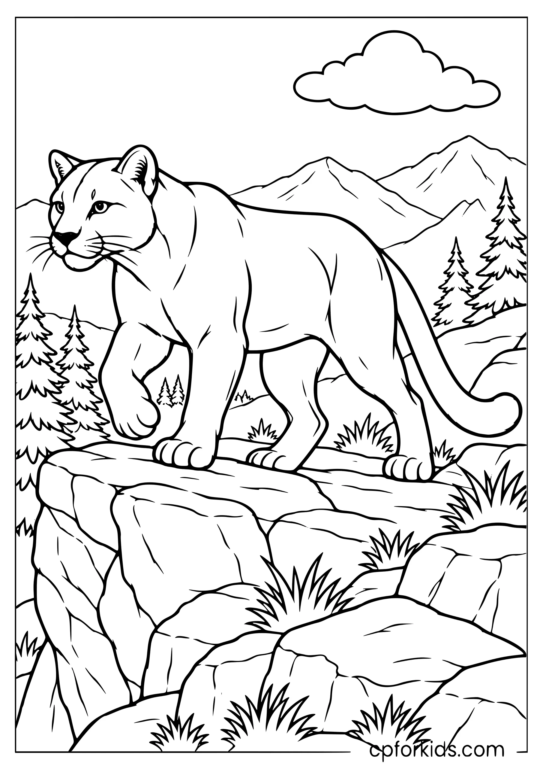 Mountain lion walking carefully along a rocky ledge