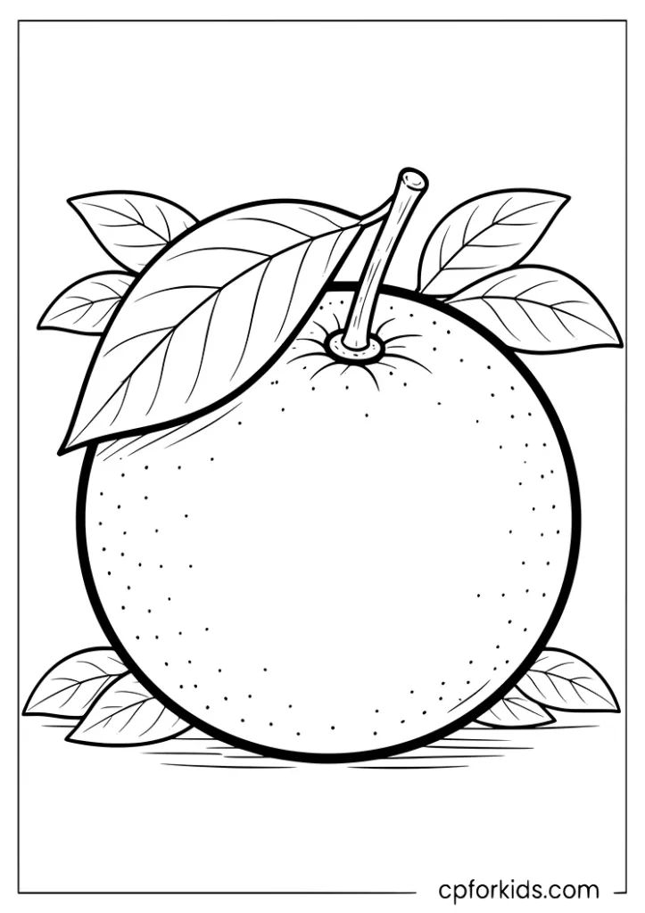 Orange with leaf coloring page for kids