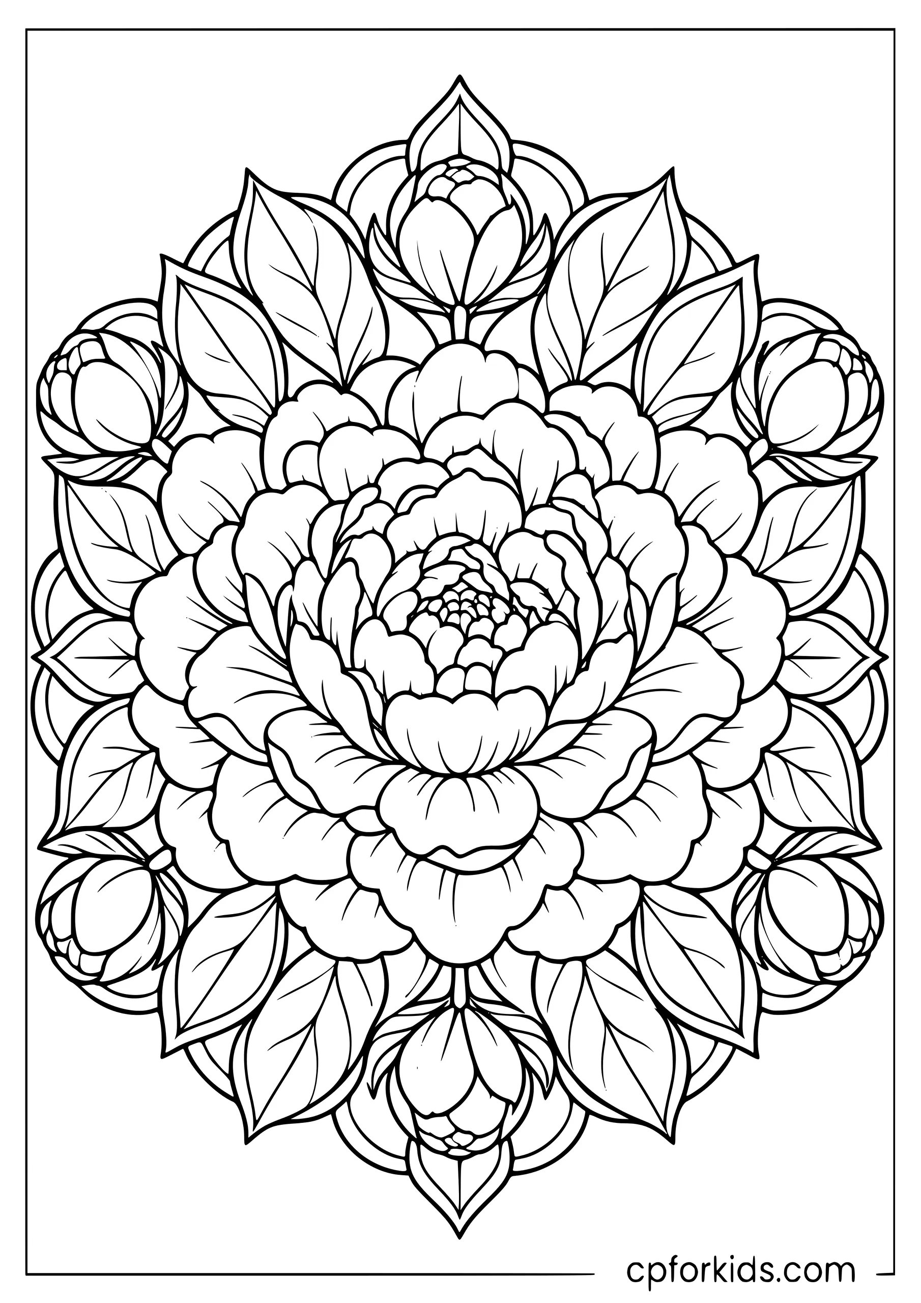 Layered peony blossoms arranged with broad botanical leaves