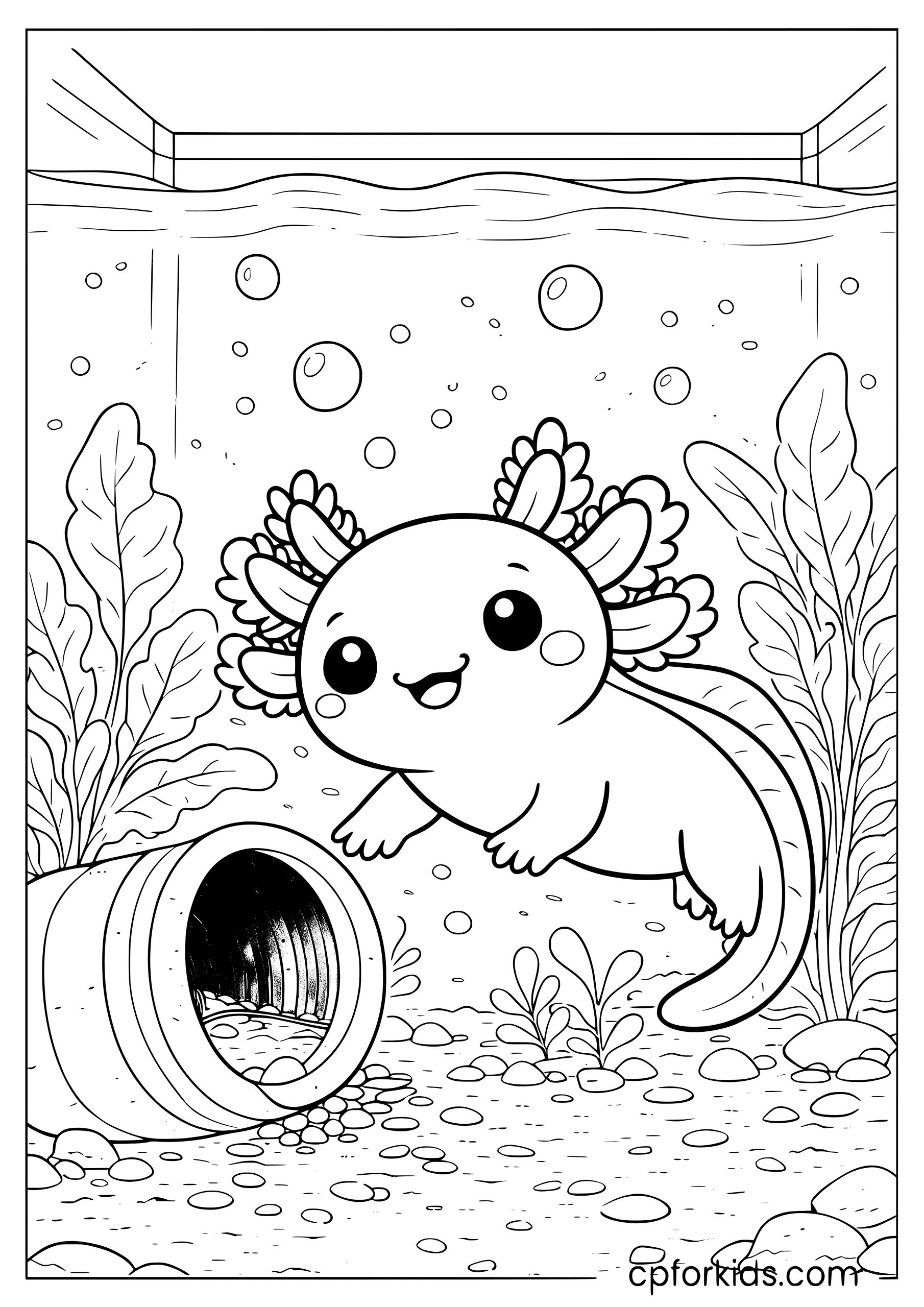 Pet Axolotl in a Home Aquarium