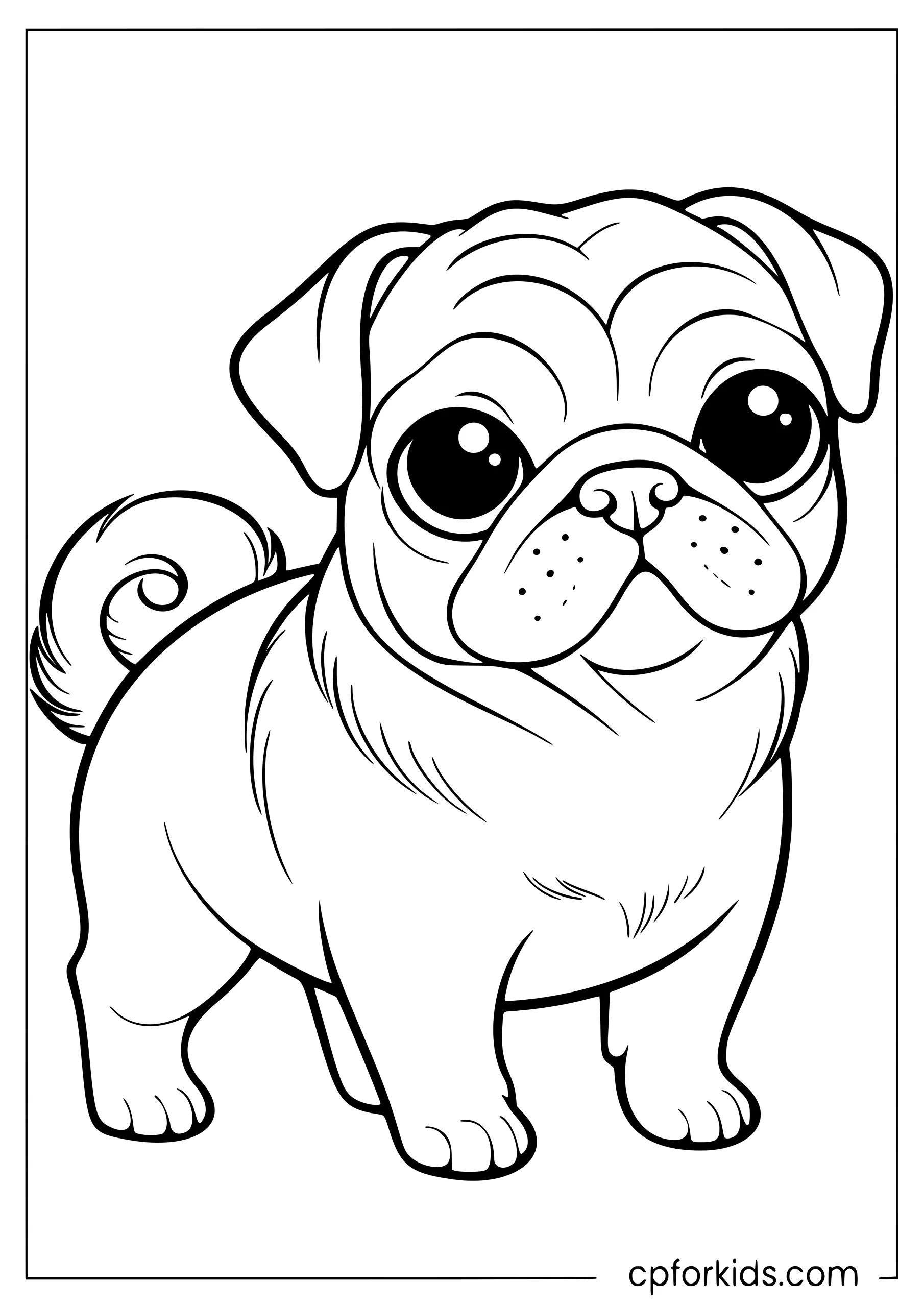 Pug standing with a curled tail beside a toy