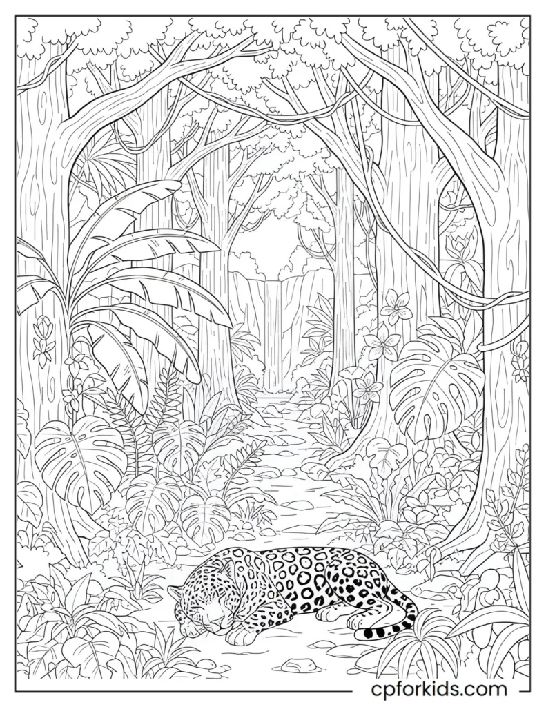 Rainforest and jungle nature coloring pages with tropical plants, trees, and dense forest scenery.