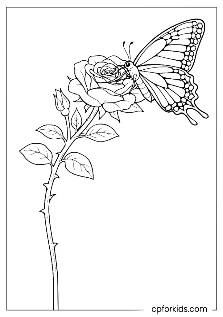 Realistic butterfly resting on a rose vine coloring page