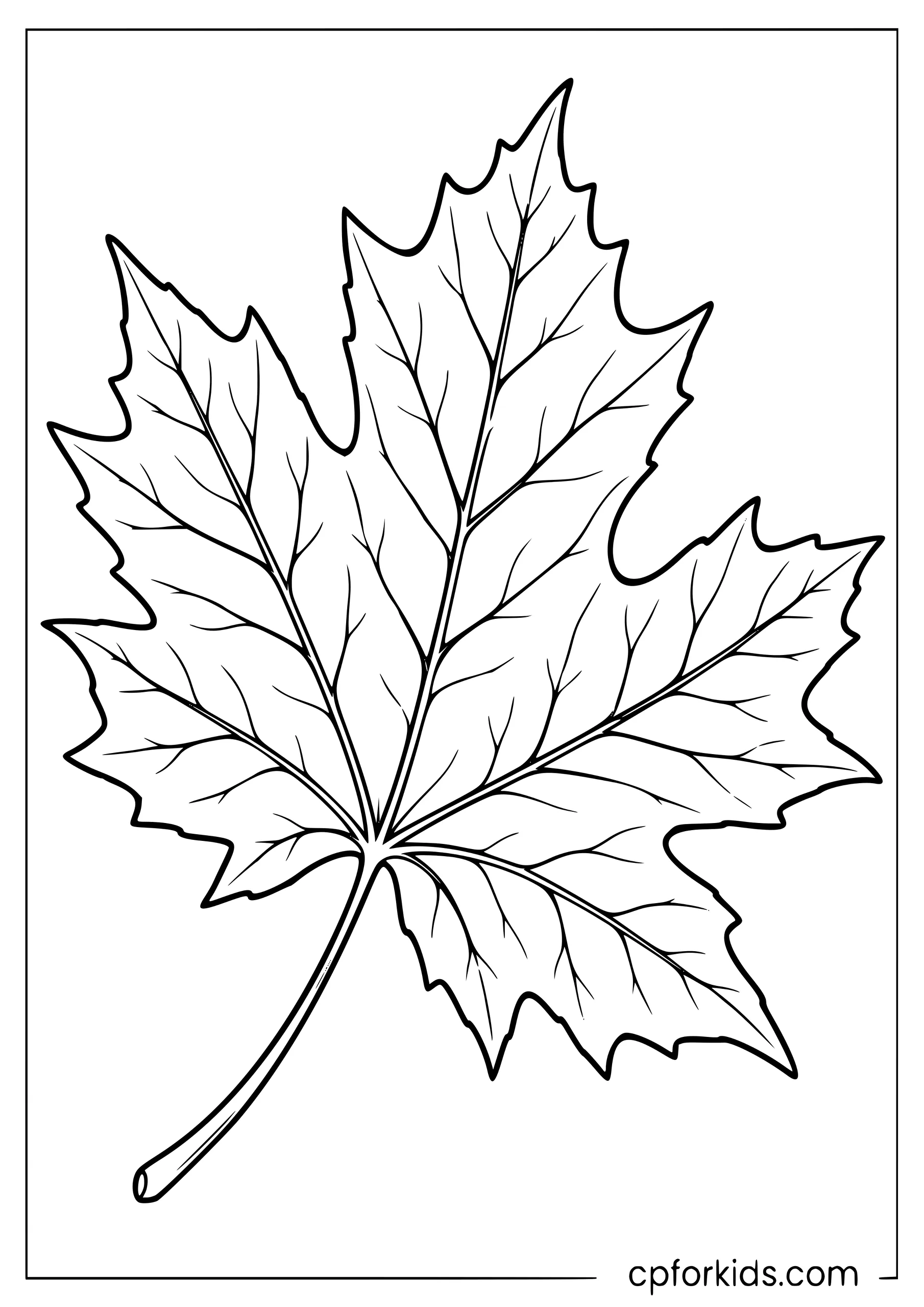 Realistic maple leaf with natural veins and curled edges