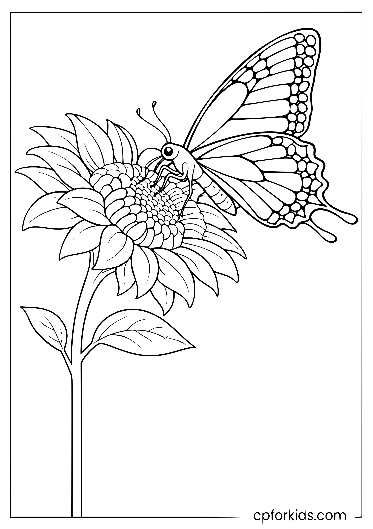 Swallowtail butterfly resting on a large sunflower head