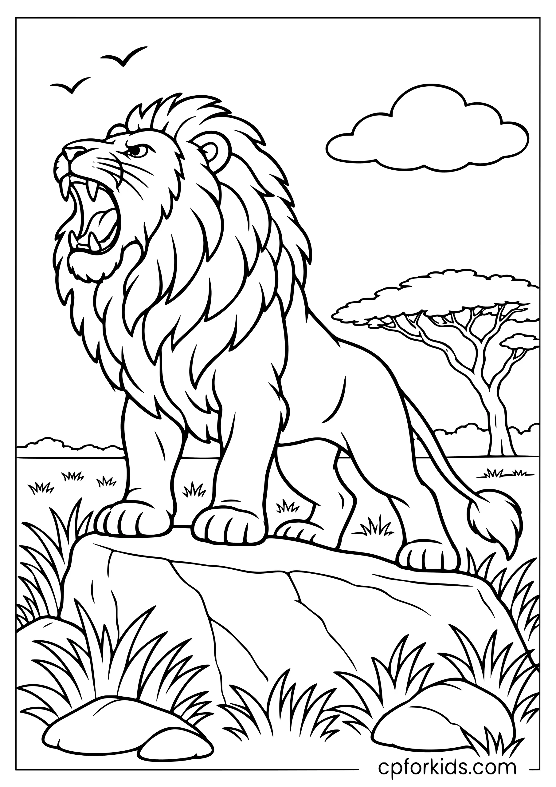 Roaring male lion standing on a savanna rock