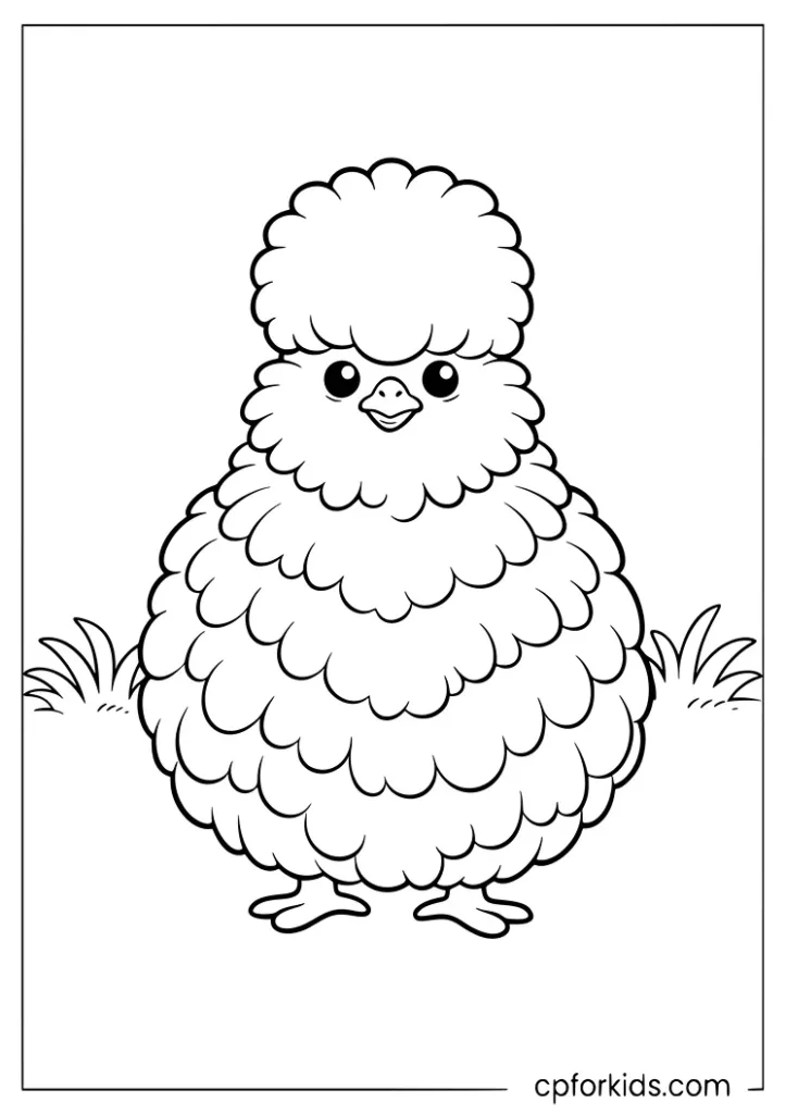 Fluffy silkie chicken coloring page with soft feathers