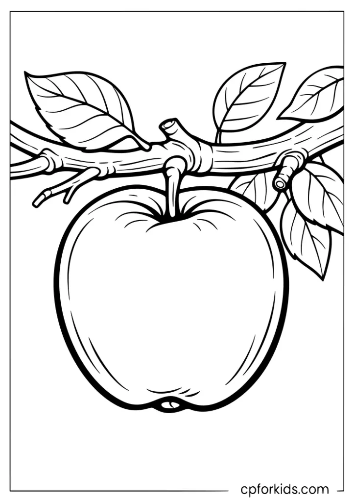 Simple apple on a branch coloring page for kids