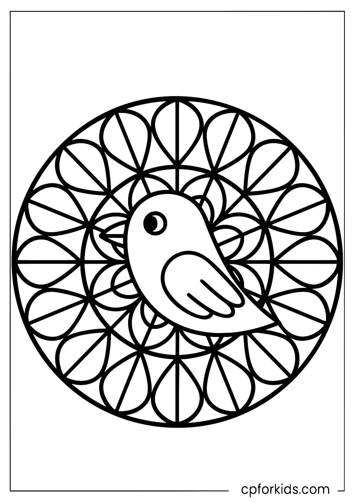 Small bird with broad symmetrical feather patterns