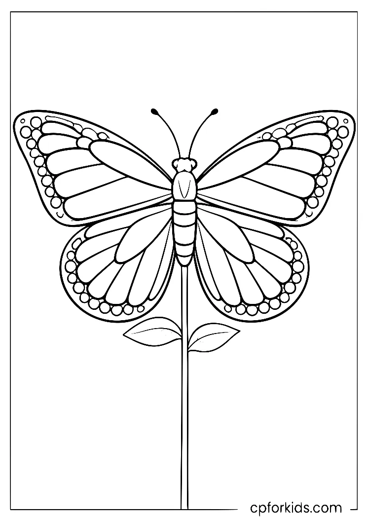 Butterfly with spotted wing borders above a leafy stem