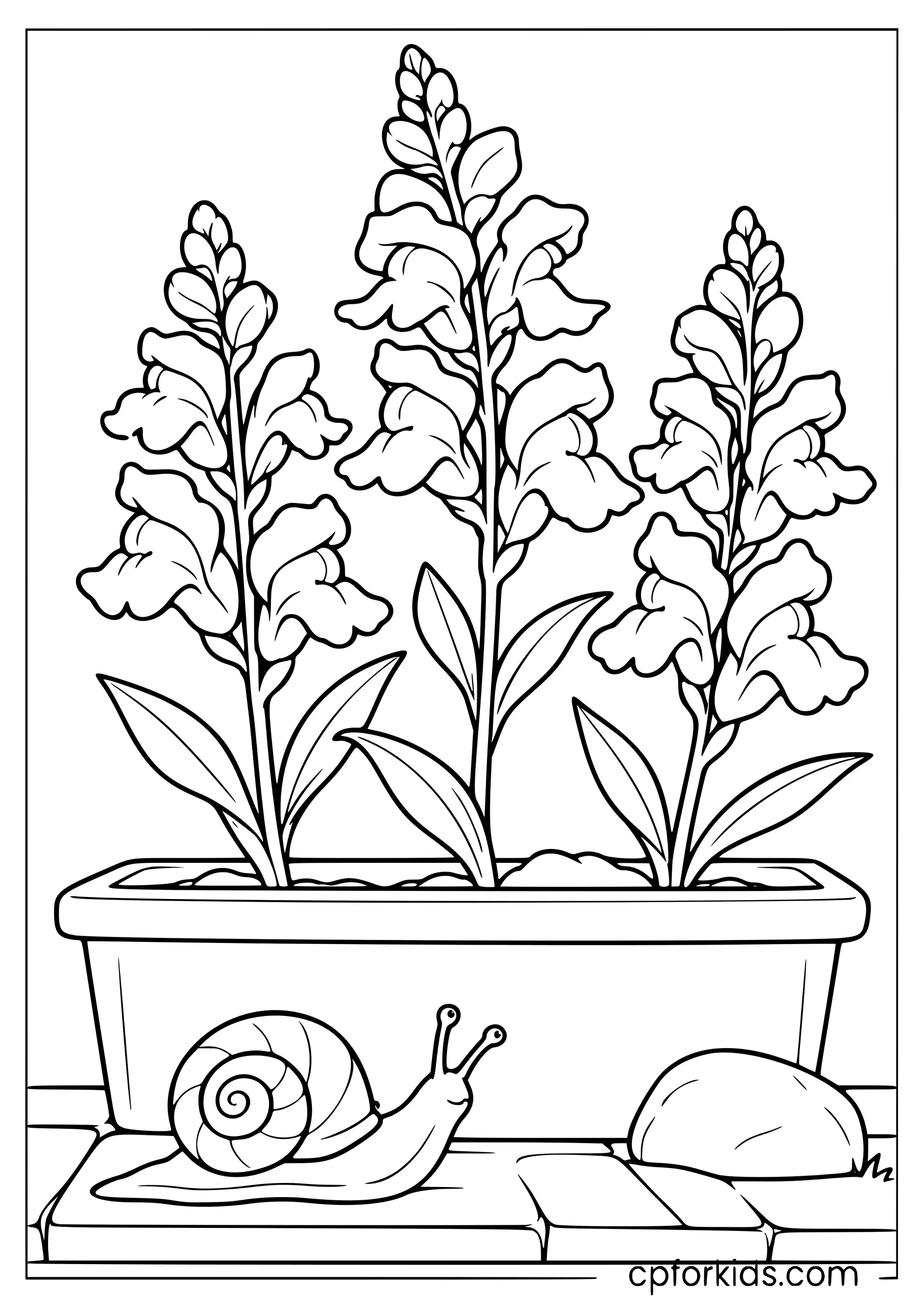 Snail crawling beside three snapdragon stems and a planter