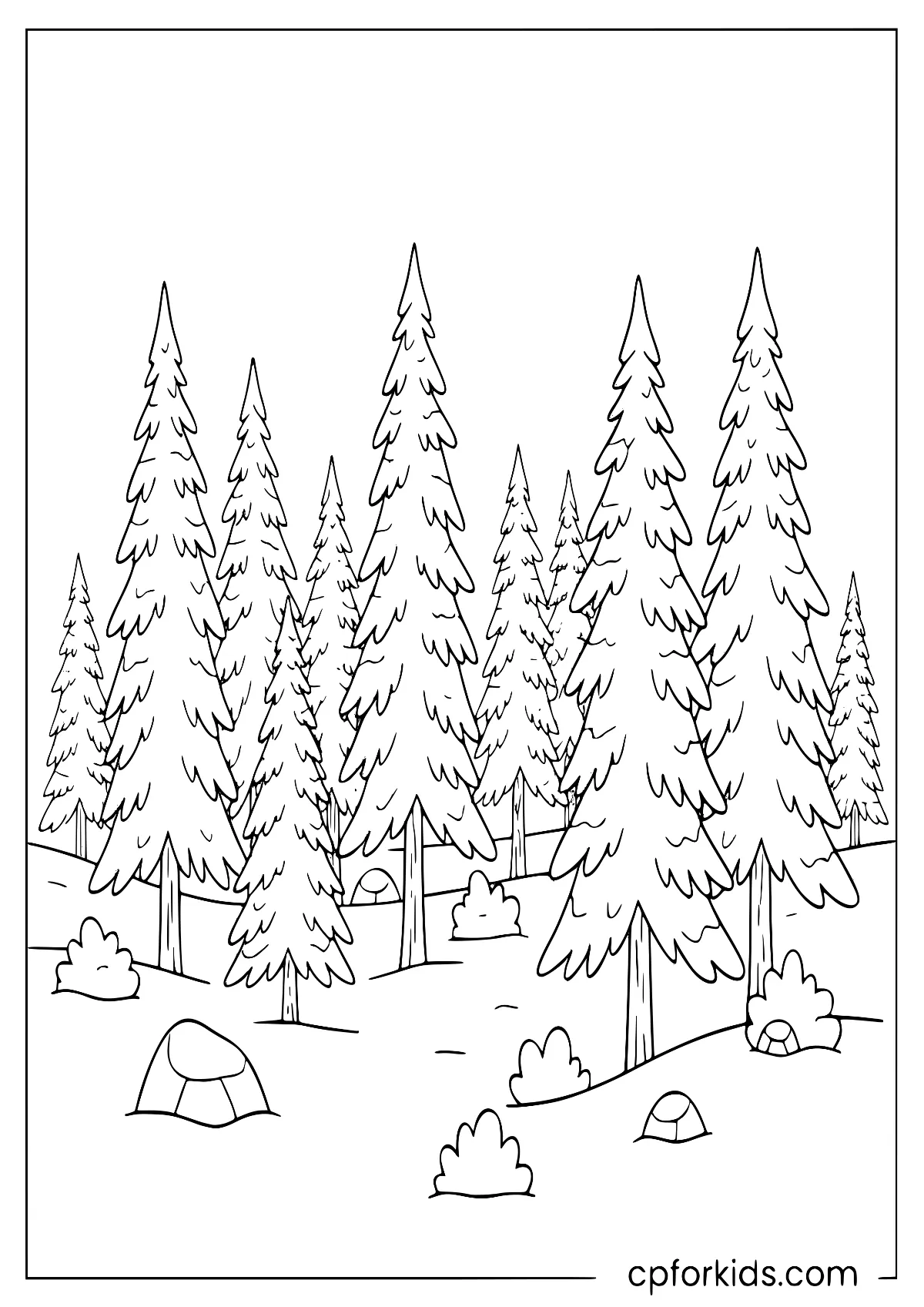 Snow-covered pine forest