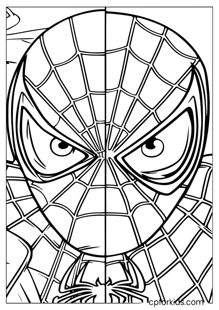 Close-up of Spiderman's mask with detailed eye and web patterns