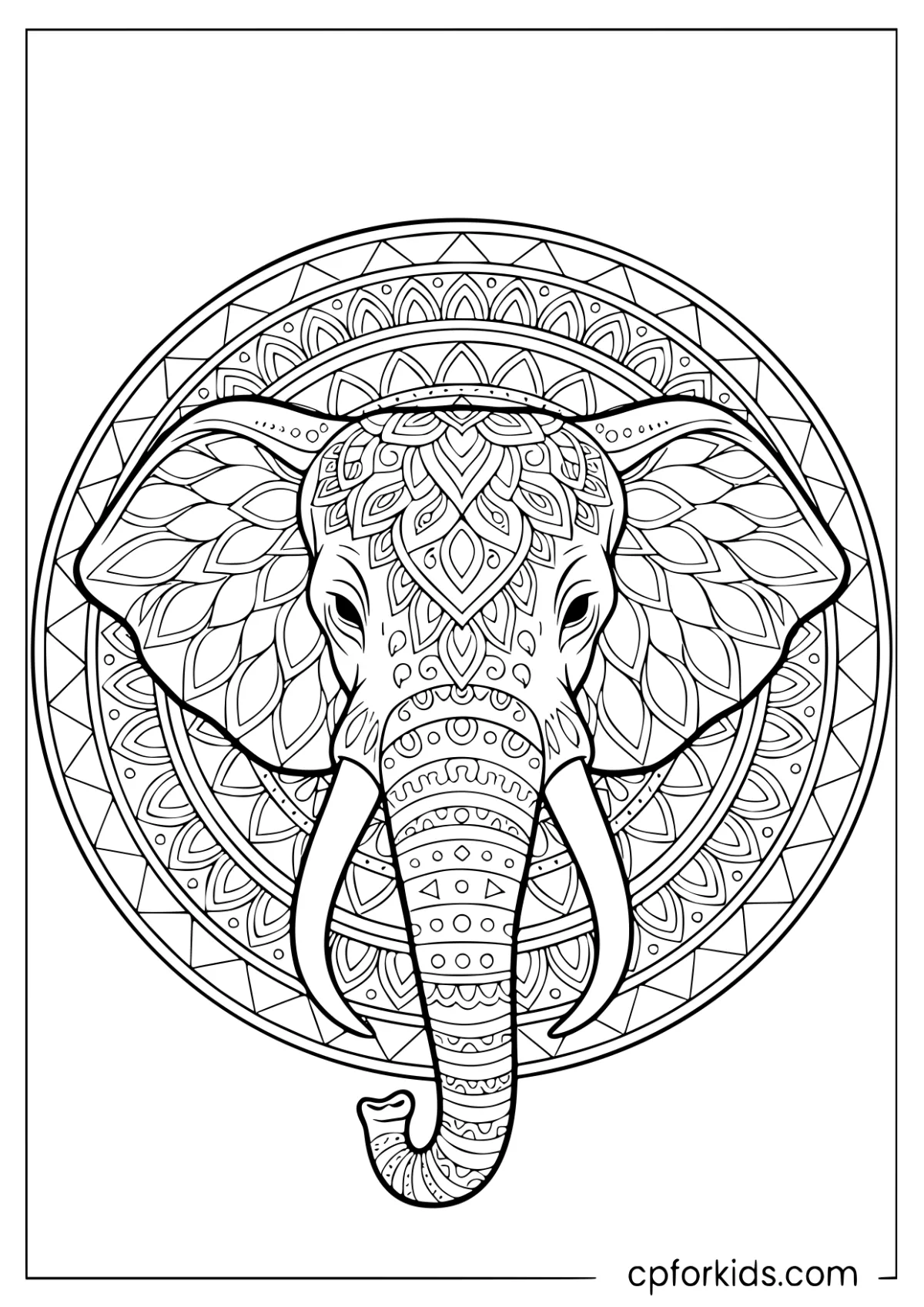 Elephant head filled with detailed symmetrical patterns