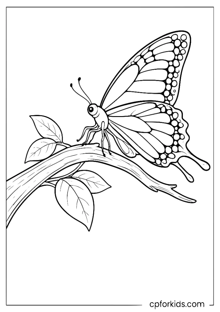 Swallowtail butterfly outline resting on a branch coloring page