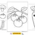 Printable vegetable coloring pages collage for kids