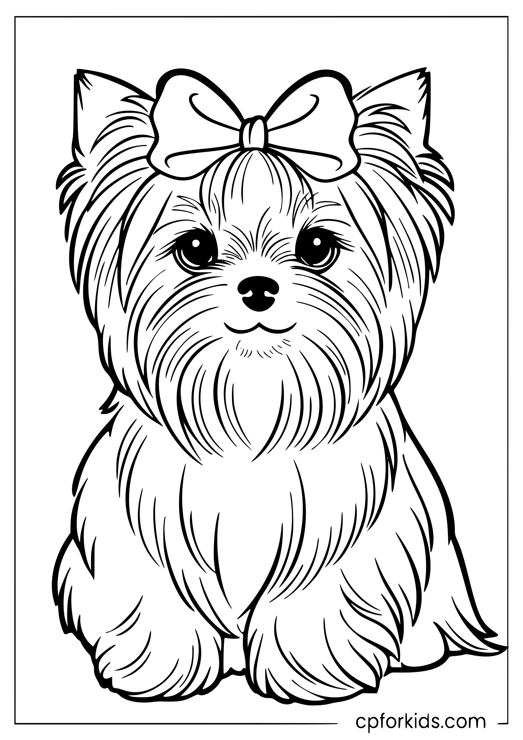 Yorkshire terrier sitting with a ribbon in its hair