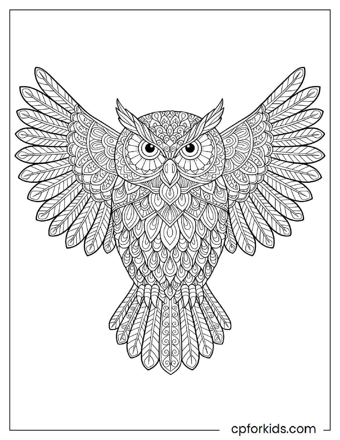 Owl with zentangle feather patterns